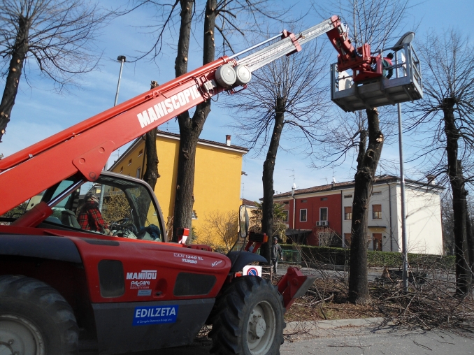 Taglio alberi pericolanti lungo le vie Manerbiesi. AGRATISSSS - EDILZETA dei fratelli Zavaglio